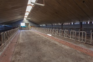 Rietmolen - Teesselinkweg 7